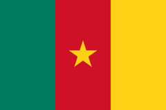 Cameroon submits updated Stockholm Convention NIP