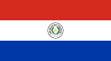 Paraguay transmits updated implementation plan for the Stockholm Convention