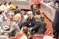 Final Report of the Stockholm Convention’s COP-9 is now online