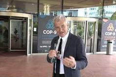 Behind the Scenes at the Basel, Rotterdam and Stockholm Conventions 2019 COPs - video
