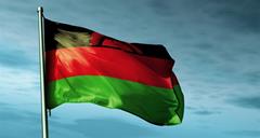 Malawi updates its national plan for implementing the Stockholm Convention