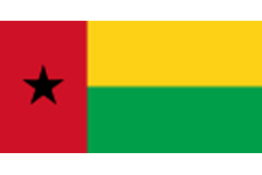 Guinea-Bissau transmits updated national plan for implementing the Stockholm Convention