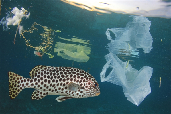 Plastic waste again in the spotlight as Geneva hosts High Level Dialogue on 14 February