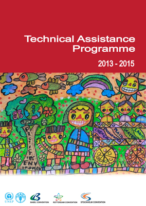 Technical Assistance Programme